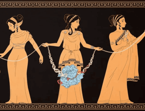 Η μοίρα και η μοιρασιά